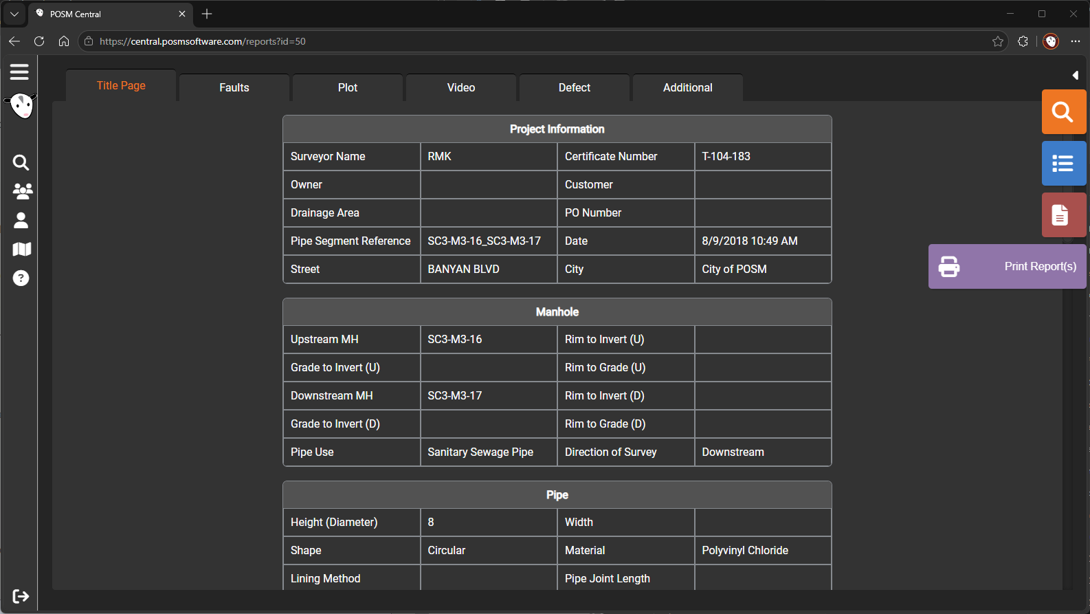 Print Report(s) button